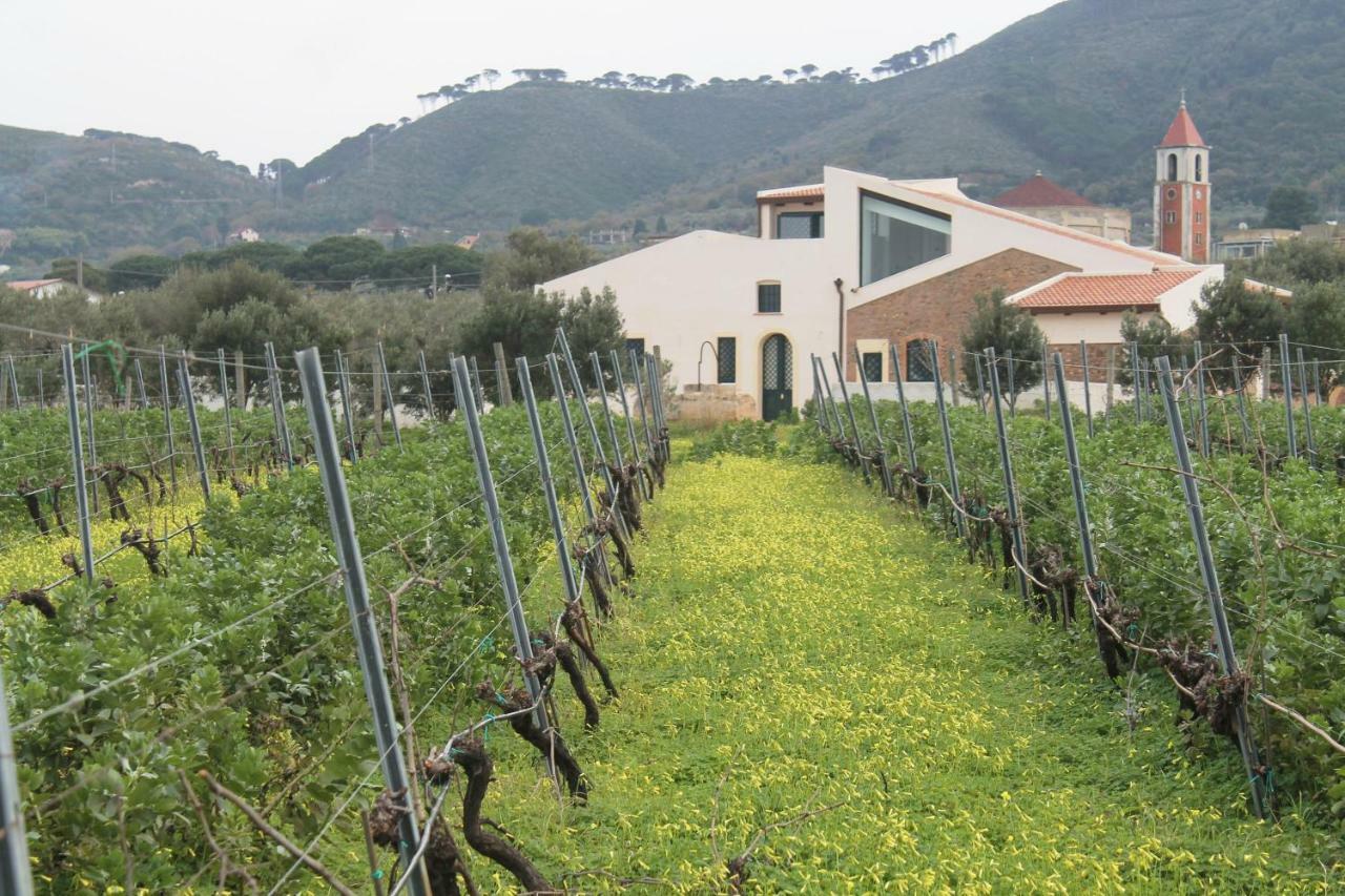 Tenuta Rasocolmo メッシーナ エクステリア 写真
